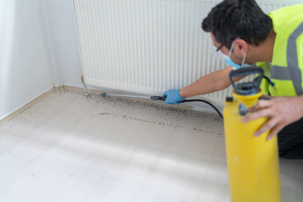 Best Residential Pest Control  in Piedmont, CA